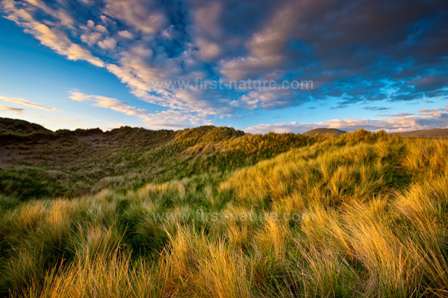 The dunes at Morfa Dyffryn